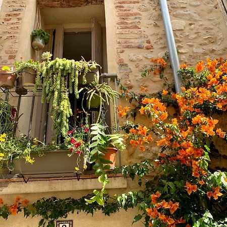 Maison Historique Rue Vermeille Argeles Sur Mer エクステリア 写真
