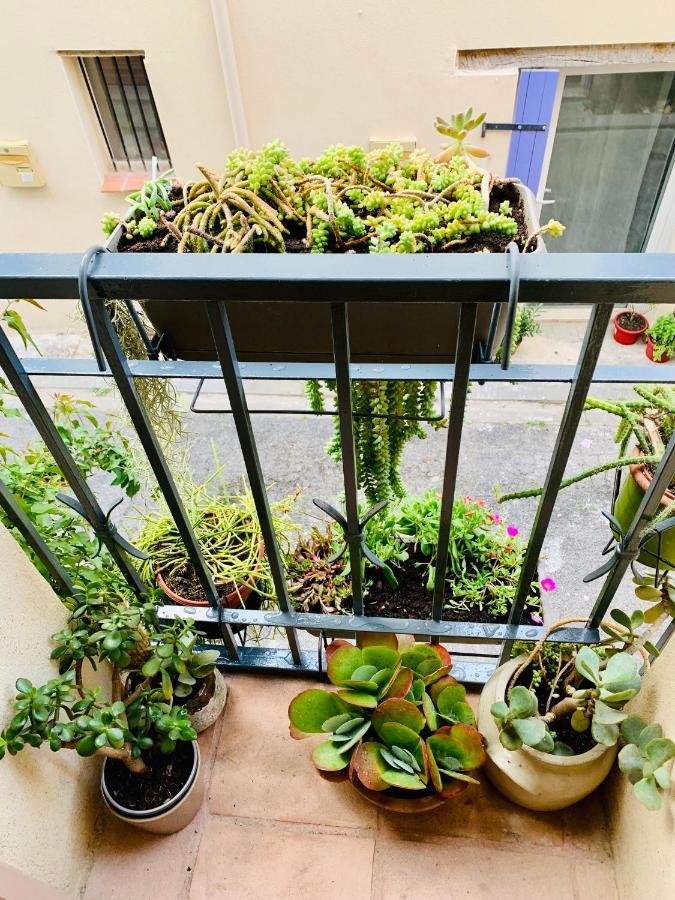 Maison Historique Rue Vermeille Argeles Sur Mer エクステリア 写真