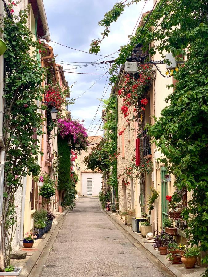 Maison Historique Rue Vermeille Argeles Sur Mer エクステリア 写真