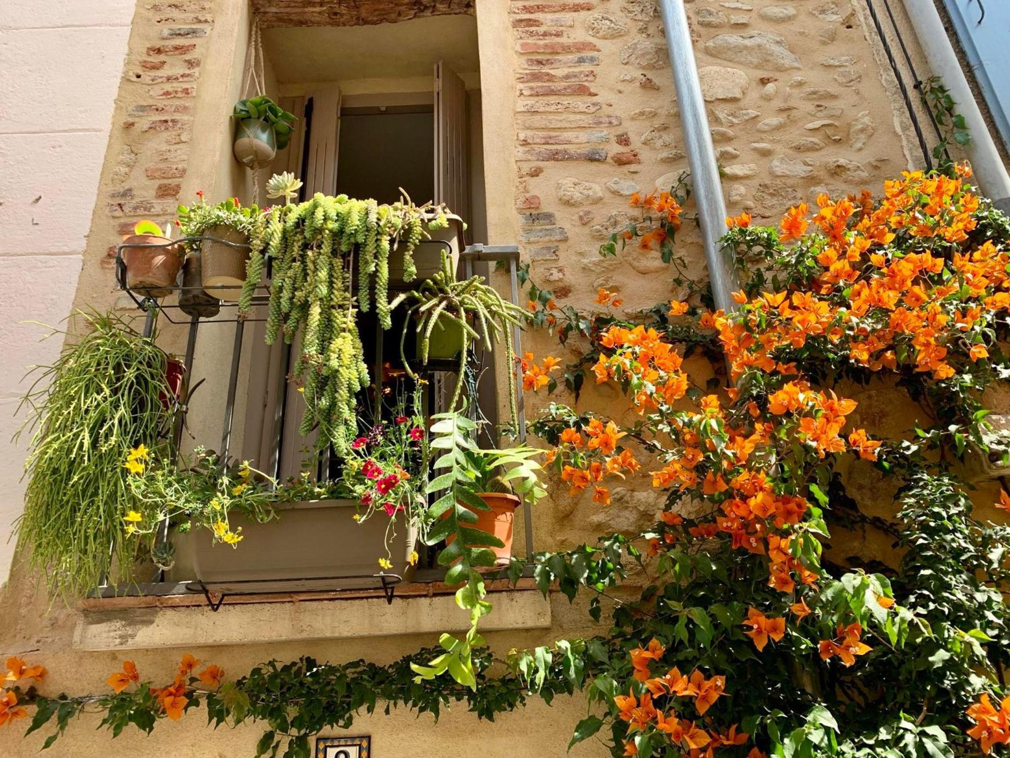 Maison Historique Rue Vermeille Argeles Sur Mer エクステリア 写真