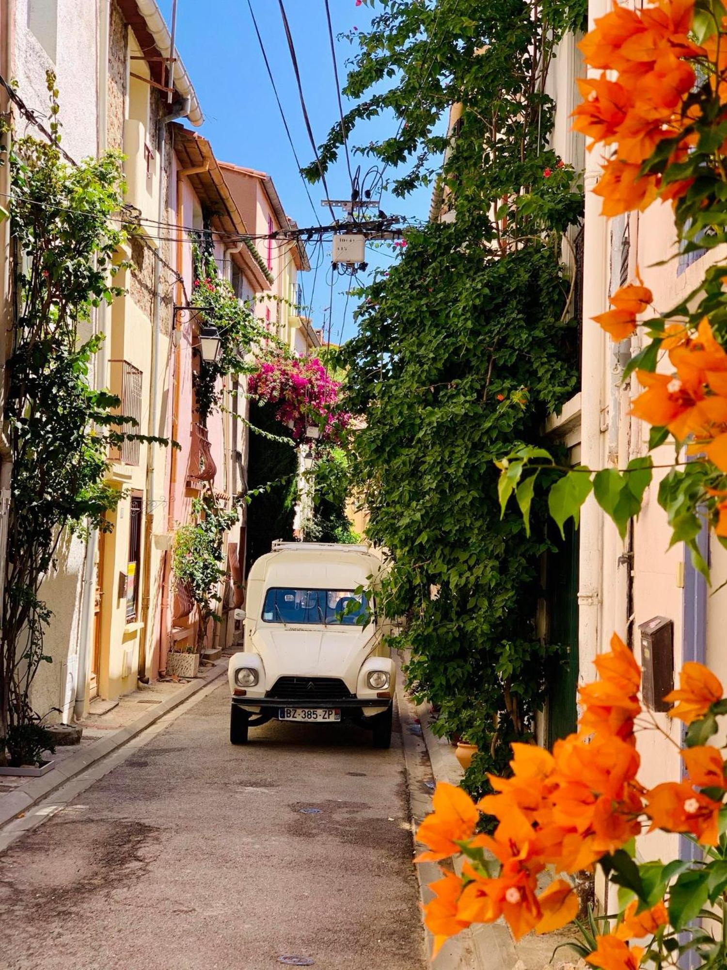 Maison Historique Rue Vermeille Argeles Sur Mer エクステリア 写真